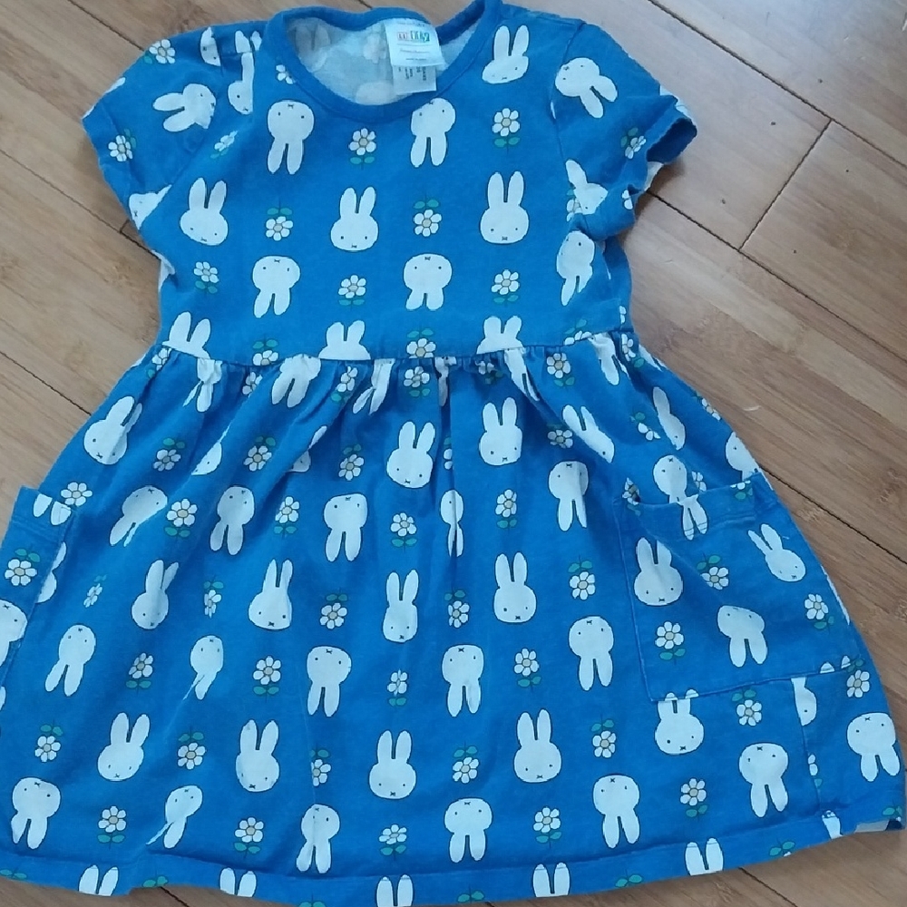 Hanna Andersson Blue Bunny & Daisy Print Dress 4T